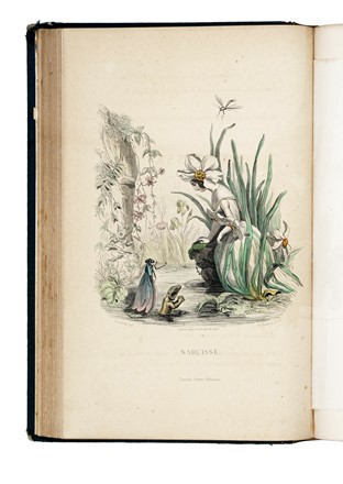  Grandville J.J. [pseud. di G�rard Jean Ignace Isidore] : Les Fleurs Anim�es... Tomo I [-II].  - Asta Libri, autografi e manoscritti - Libreria Antiquaria Gonnelli - Casa d'Aste - Gonnelli Casa d'Aste
