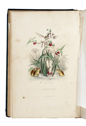  Grandville J.J. [pseud. di G�rard Jean Ignace Isidore] : Les Fleurs Anim�es... Tomo I [-II].  - Asta Libri, autografi e manoscritti - Libreria Antiquaria Gonnelli - Casa d'Aste - Gonnelli Casa d'Aste