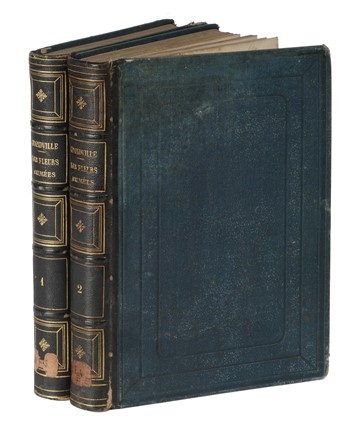  Grandville J.J. [pseud. di G�rard Jean Ignace Isidore] : Les Fleurs Anim�es... Tomo I [-II].  - Asta Libri, autografi e manoscritti - Libreria Antiquaria Gonnelli - Casa d'Aste - Gonnelli Casa d'Aste