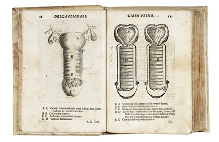  Mercurio Girolamo : La commare o riccoglitrice [...] divisa in tre libri ristampata correta et accresciuta dall'istesso autore... Figurato  - Auction Books, Autographs and Manuscripts - Libreria Antiquaria Gonnelli - Casa d'Aste - Gonnelli Casa d'Aste
