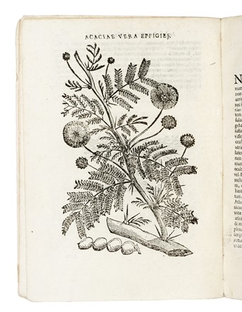  Alpino Prospero : De plantis Aegyptiis...  Johan Vesling  - Auction Books, Autographs and Manuscripts - Libreria Antiquaria Gonnelli - Casa d'Aste - Gonnelli Casa d'Aste