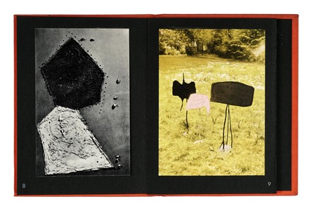  Fontana Lucio : Fontana. Libro d'Artista, Monografie di artisti, Cataloghi di arte, Collezionismo e Bibliografia, Collezionismo e Bibliografia, Arte  Ugo Mulas  (Pozzolengo, 1928 - Milano, 1973)  - Auction Books, Autographs and Manuscripts - Libreria Antiquaria Gonnelli - Casa d'Aste - Gonnelli Casa d'Aste