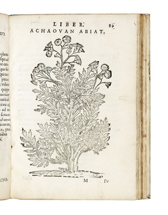  Alpino Prospero : De plantis Aegypti liber. Cum observationibus & notis Ioannis Veslingii... Botanica, Egittologia, Figurato, Scienze naturali, Storia, Diritto e Politica, Collezionismo e Bibliografia  - Auction Books, Autographs and Manuscripts - Libreria Antiquaria Gonnelli - Casa d'Aste - Gonnelli Casa d'Aste