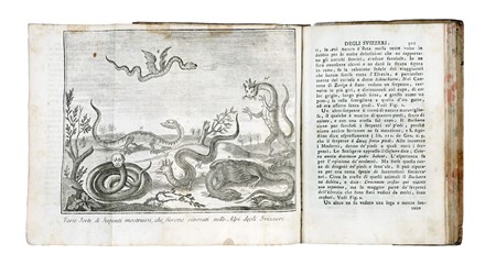  Salmon Thomas : Lo stato presente di tutti i paesi e popoli del mondo [...] Volume XI... Geografia e viaggi, Costume e moda, Arte  - Auction Libri, Autografi e Manoscritti - Libreria Antiquaria Gonnelli - Casa d'Aste - Gonnelli Casa d'Aste