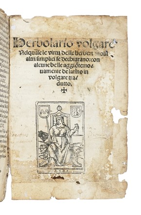  Arnaldo de Vilanova : Herbolario volgare nel quale de virtu delle herbe: & molti altri simplici se dechiarano... Botanica, Figurato, Scienze naturali, Collezionismo e Bibliografia  - Auction Books, Autographs and Manuscripts - Libreria Antiquaria Gonnelli - Casa d'Aste - Gonnelli Casa d'Aste