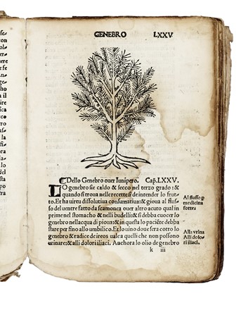  Arnaldo de Vilanova : Herbolario volgare nel quale de virtu delle herbe: & molti altri simplici se dechiarano... Botanica, Figurato, Scienze naturali, Collezionismo e Bibliografia  - Auction Books, Autographs and Manuscripts - Libreria Antiquaria Gonnelli - Casa d'Aste - Gonnelli Casa d'Aste