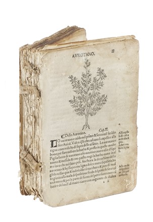  Arnaldo de Vilanova : Herbolario volgare nel quale de virtu delle herbe: & molti altri simplici se dechiarano... Botanica, Figurato, Scienze naturali, Collezionismo e Bibliografia  - Auction Books, Autographs and Manuscripts - Libreria Antiquaria Gonnelli - Casa d'Aste - Gonnelli Casa d'Aste