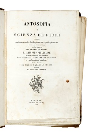  Pellegrini Raimondo : Antosofia o scienza de' fiori: trattata anatomicamente, fisiologicamente e patologicamente [...] con figure diligentemente colorite...  - Asta Libri, autografi e manoscritti - Libreria Antiquaria Gonnelli - Casa d'Aste - Gonnelli Casa d'Aste
