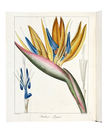  Mordant de Launay Jean Claude Mien : Herbier general de l'amateur, contenant la description, l'histoire, les proprietes et la culture des vegetaux utiles et agreable [...] Tome premier [-huiti�me]. Botanica, Figurato, Scienze naturali, Collezionismo e Bibliografia  Jean Louis Auguste Loiseleur-Deslongchamps, Pancrace Bessa  (Parigi, 1772 - �couen, 1846)  - Auction Books, Autographs and Manuscripts - Libreria Antiquaria Gonnelli - Casa d'Aste - Gonnelli Casa d'Aste