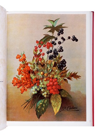  Gori Pietro : I fiori... Botanica  Angiolo Pucci, Tito Chelazzi  - Auction Books, Autographs and Manuscripts - Libreria Antiquaria Gonnelli - Casa d'Aste - Gonnelli Casa d'Aste
