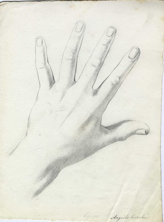  Angelo Torchi  (Massalombarda, 1856 - 1915) : Lotto composto di 35 disegni.  - Auction Arte Antica, Moderna e Contemporanea [parte II] - Libreria Antiquaria Gonnelli - Casa d'Aste - Gonnelli Casa d'Aste