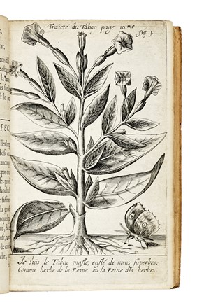  Neander Johann : Traict� du tabac, ou Nicotiane, panac�e, p�tun: Autrement herbe � la reyne, avec sa pr�paration & son usage, pour le plus part des indispositions du corps humain, ensemble les diverses fa�ons de le falsifier, & les marques pour le recognoistr&egrave; Medicina, Scienze naturali, Farmacologia, Medicina  - Auction Books, Autographs and Manuscripts - Libreria Antiquaria Gonnelli - Casa d'Aste - Gonnelli Casa d'Aste