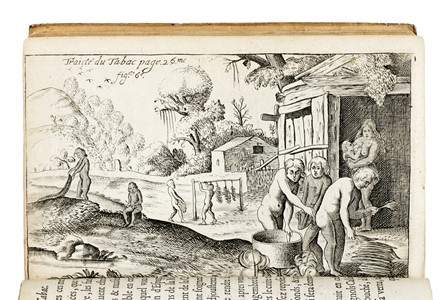  Neander Johann : Traict� du tabac, ou Nicotiane, panac�e, p�tun: Autrement herbe � la reyne, avec sa pr�paration & son usage, pour le plus part des indispositions du corps humain, ensemble les diverses fa�ons de le falsifier, & les marques pour le recognoistr&egrave; Medicina, Scienze naturali, Farmacologia, Medicina  - Auction Books, Autographs and Manuscripts - Libreria Antiquaria Gonnelli - Casa d'Aste - Gonnelli Casa d'Aste