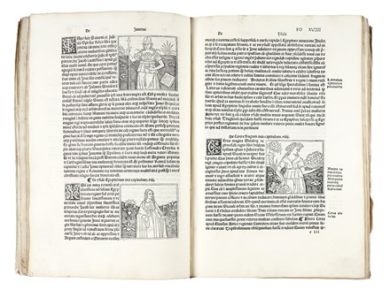 Foresti Giacomo Filippo : De plurimis claris sceletisque mulieribus... Incunabolo, Figurato, Collezionismo e Bibliografia, Collezionismo e Bibliografia  - Auction Books, Autographs and Manuscripts - Libreria Antiquaria Gonnelli - Casa d'Aste - Gonnelli Casa d'Aste