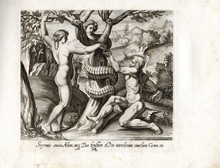  Francesco Villamena  (Assisi,  - Roma, 1626) : La sacra Genesi figurata da Rafaele d'Urbino nelle Logge Vaticane.  - Auction Arte Antica, Moderna e Contemporanea [parte I] - Libreria Antiquaria Gonnelli - Casa d'Aste - Gonnelli Casa d'Aste