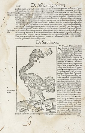  Sebastian M�nster  (Ingelheim am Rhein,, 1488 - Basilea,, 1552) : Cosmographiae universalis.  - Auction Arte Antica, Moderna e Contemporanea [parte I] - Libreria Antiquaria Gonnelli - Casa d'Aste - Gonnelli Casa d'Aste