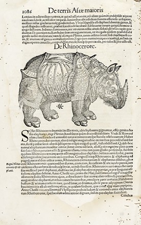  Sebastian M�nster  (Ingelheim am Rhein,, 1488 - Basilea,, 1552) : Cosmographiae universalis.  - Auction Arte Antica, Moderna e Contemporanea [parte I] - Libreria Antiquaria Gonnelli - Casa d'Aste - Gonnelli Casa d'Aste
