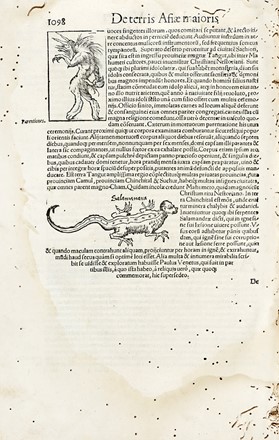  Sebastian M�nster  (Ingelheim am Rhein,, 1488 - Basilea,, 1552) : Cosmographiae universalis.  - Auction Arte Antica, Moderna e Contemporanea [parte I] - Libreria Antiquaria Gonnelli - Casa d'Aste - Gonnelli Casa d'Aste