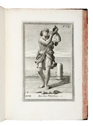  Bonanni Filippo : [Gabinetto Armonico pieno d'Istromenti Sonori, indicati e spiegati].  - Asta Libri, autografi e manoscritti - Libreria Antiquaria Gonnelli - Casa d'Aste - Gonnelli Casa d'Aste