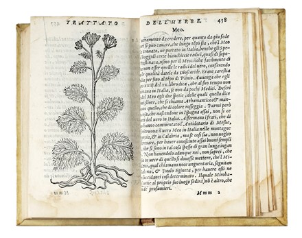  Crescenzi Pietro (de) : Pietro Crescentio tradotto nouamente per M. Francesco Sansouino nel quale si trattano le cose della villa con le figure delle herbe poste nel fine.  - Asta Libri, autografi e manoscritti - Libreria Antiquaria Gonnelli - Casa d'Aste - Gonnelli Casa d'Aste