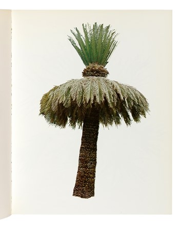  Ruscha Edward : Lotto di 3 opere di Ed Ruscha. Arte, Libro d'Artista, Collezionismo e Bibliografia  - Auction Books, Autographs and Manuscripts - Libreria Antiquaria Gonnelli - Casa d'Aste - Gonnelli Casa d'Aste