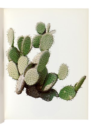  Ruscha Edward : Lotto di 3 opere di Ed Ruscha. Arte, Libro d'Artista, Collezionismo e Bibliografia  - Auction Books, Autographs and Manuscripts - Libreria Antiquaria Gonnelli - Casa d'Aste - Gonnelli Casa d'Aste