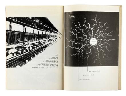 Lotto di 21 opere di poesia visiva e concreta. Arte, Cataloghi di arte, Libro d'Artista, Arte, Collezionismo e Bibliografia  Giovanni Della Casa, Claudio Parmiggiani  (Luzzara, 1943), Michele Perfetti, Luciano Caruso, Stelio Maria [pseud. per Crescenzo Martini] Martini  (1943 - Caivano, 2016)  - Auction Books, Autographs and Manuscripts - Libreria Antiquaria Gonnelli - Casa d'Aste - Gonnelli Casa d'Aste