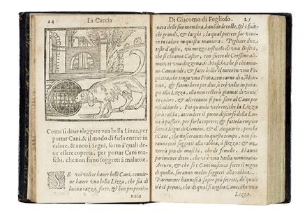  Du Fouilloux Jacques : La caccia di Giacomo di Foglioso... Caccia e pesca  - Auction Books, Autographs and Manuscripts - Libreria Antiquaria Gonnelli - Casa d'Aste - Gonnelli Casa d'Aste