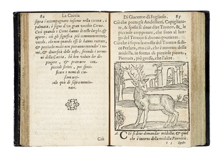  Du Fouilloux Jacques : La caccia di Giacomo di Foglioso... Caccia e pesca  - Auction Books, Autographs and Manuscripts - Libreria Antiquaria Gonnelli - Casa d'Aste - Gonnelli Casa d'Aste