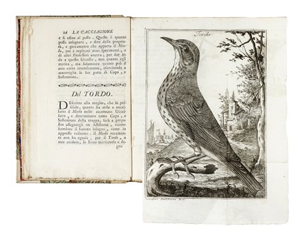  Pontini Giovanni : La cacciagione de' volatili, osia L'arte di pigliare uccelli in ogni maniera... Caccia e pesca  - Auction Books, Autographs and Manuscripts - Libreria Antiquaria Gonnelli - Casa d'Aste - Gonnelli Casa d'Aste
