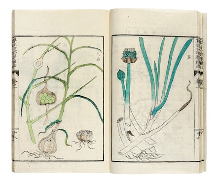  Nobuhiro Sato Nobuhiro Sato : Somoku Rokubu Koshuho (?Metodi di coltivazione in sei parti di piante e alberi?). Japonica, Botanica, Storia locale, Geografia e viaggi, Scienze naturali, Storia, Diritto e Politica  - Auction Books, Autographs and Manuscripts - Libreria Antiquaria Gonnelli - Casa d'Aste - Gonnelli Casa d'Aste