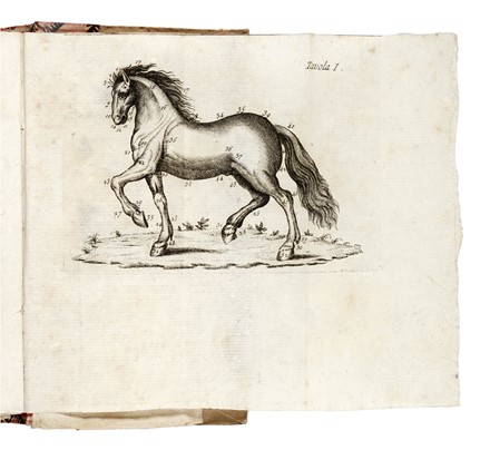  Br�z� Argentero (de) : Il dilettante de' cavalli... Equitazione, Figurato  - Auction Books, Autographs and Manuscripts - Libreria Antiquaria Gonnelli - Casa d'Aste - Gonnelli Casa d'Aste