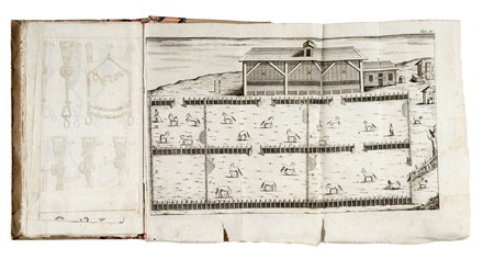  Br�z� Argentero (de) : Il dilettante de' cavalli... Equitazione, Figurato  - Auction Books, Autographs and Manuscripts - Libreria Antiquaria Gonnelli - Casa d'Aste - Gonnelli Casa d'Aste