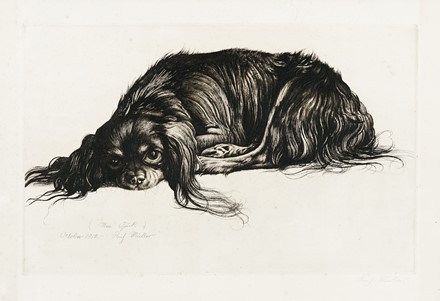  Richard M�ller  (Tschirnitz, 1874 - Dresda, 1954) : Lotto composto di 3 incisioni.  - Asta Asta di beneficenza. Dalla collezione di Franco Lucini. - Libreria Antiquaria Gonnelli - Casa d'Aste - Gonnelli Casa d'Aste