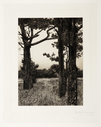  Autori vari : Lotto composto di 5 incisioni.  Max Roeder  (Monaco, 1866 - Roma, 1947)  - Auction Old Masters, Modern and Contemporary Art - Libreria Antiquaria Gonnelli - Casa d'Aste - Gonnelli Casa d'Aste