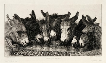  Autori vari : Lotto composto di 25 incisioni e disegni a tema animale.  Fabrizio Clerici  (Milano, 1913 - Roma, 1993), Moses Levy  (Tunisi, 1885 - Viareggio, 1968), Raoul Dal Molin Ferenzona  (Firenze, 1879 - Milano, 1946), Hans Thoma  (Bernau, 1839 - Karlsruhe, 1924), F�lix Bracquemond  (Parigi, 1833 - 1914), Oskar Laske  (Czernowitz, 1874 - Vienna, 1951)  - Asta Asta di beneficenza. Dalla collezione di Franco Lucini. - Libreria Antiquaria Gonnelli - Casa d'Aste - Gonnelli Casa d'Aste