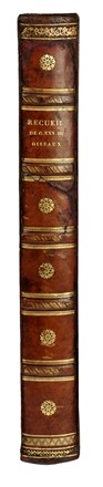 Maddalena Bouchard  (attiva a Roma 1772-1793 ca., ) : Recueil de Cent-trente-trois oiseaux, des plus belles especes, grav�s sur 87 planches et color�s d'apr�s nature par d'habiles maitres.  - Auction Old Masters, Modern and Contemporary Art - Libreria Antiquaria Gonnelli - Casa d'Aste - Gonnelli Casa d'Aste
