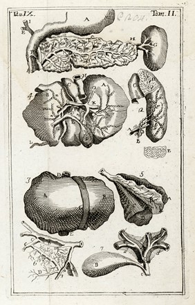  Morgagni Giovanni Battista : Epistolarum anatomicarum [...] Pars Altera. Medicina  - Auction Libri, Autografi e Manoscritti - Libreria Antiquaria Gonnelli - Casa d'Aste - Gonnelli Casa d'Aste