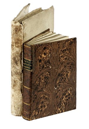  Morgagni Giovanni Battista : Epistolarum anatomicarum [...] Pars Altera. Medicina  - Auction Libri, Autografi e Manoscritti - Libreria Antiquaria Gonnelli - Casa d'Aste - Gonnelli Casa d'Aste