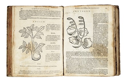  Da Vigo Giovanni : La prattica universale in cirugia. Medicina, Chirurgia, Medicina alternativa, Botanica, Medicina, Medicina, Scienze naturali  - Auction Libri, Autografi e Manoscritti - Libreria Antiquaria Gonnelli - Casa d'Aste - Gonnelli Casa d'Aste