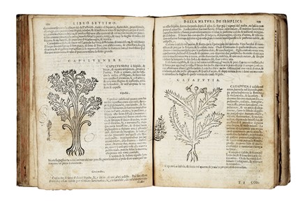  Da Vigo Giovanni : La prattica universale in cirugia. Medicina, Chirurgia, Medicina alternativa, Botanica, Medicina, Medicina, Scienze naturali  - Auction Libri, Autografi e Manoscritti - Libreria Antiquaria Gonnelli - Casa d'Aste - Gonnelli Casa d'Aste