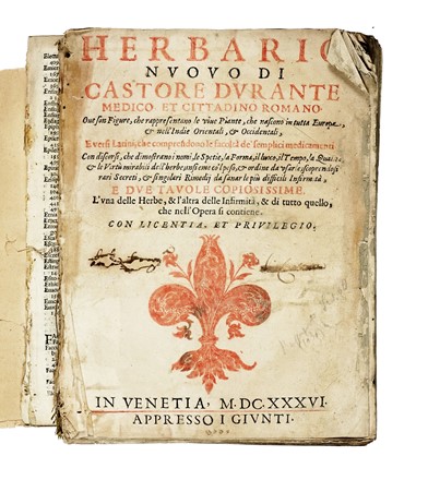  Durante Castore : Herbario Nuovo di Castore Durante... Botanica, Scienze naturali  - Auction Libri, Autografi e Manoscritti - Libreria Antiquaria Gonnelli - Casa d'Aste - Gonnelli Casa d'Aste