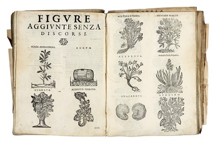  Durante Castore : Herbario Nuovo di Castore Durante... Botanica, Scienze naturali  - Auction Libri, Autografi e Manoscritti - Libreria Antiquaria Gonnelli - Casa d'Aste - Gonnelli Casa d'Aste