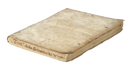  Vizani dal Montone Angelo : Trattato dello schermo d'Angelo Vizani... Scherma  - Auction Books, Autographs and Manuscripts - Libreria Antiquaria Gonnelli - Casa d'Aste - Gonnelli Casa d'Aste
