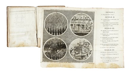  Doria Luigi : Elementi della coltivazione de' grani... Agricoltura  - Auction Libri, Autografi e Manoscritti - Libreria Antiquaria Gonnelli - Casa d'Aste - Gonnelli Casa d'Aste