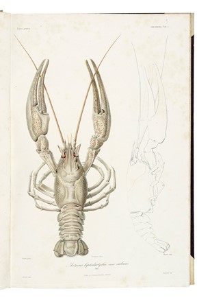  D�midoff Anatole : Voyage dans la Russie Meridionale et la Crim�e par la Hongrie la Valachie et la Moldavie... Geografia e viaggi  Denis-Auguste-Marie Raffet  (Parigi,, 1804 - Genova,, 1860)  - Auction Books, Autographs and Manuscripts - Libreria Antiquaria Gonnelli - Casa d'Aste - Gonnelli Casa d'Aste