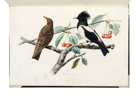  D�midoff Anatole : Voyage dans la Russie Meridionale et la Crim�e par la Hongrie la Valachie et la Moldavie... Geografia e viaggi  Denis-Auguste-Marie Raffet  (Parigi,, 1804 - Genova,, 1860)  - Auction Books, Autographs and Manuscripts - Libreria Antiquaria Gonnelli - Casa d'Aste - Gonnelli Casa d'Aste