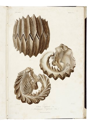  D�midoff Anatole : Voyage dans la Russie Meridionale et la Crim�e par la Hongrie la Valachie et la Moldavie... Geografia e viaggi  Denis-Auguste-Marie Raffet  (Parigi,, 1804 - Genova,, 1860)  - Auction Books, Autographs and Manuscripts - Libreria Antiquaria Gonnelli - Casa d'Aste - Gonnelli Casa d'Aste