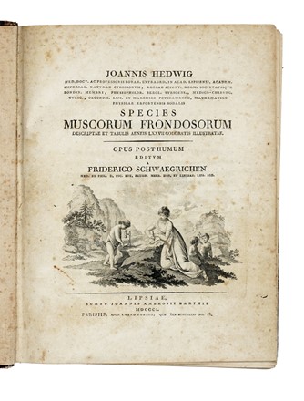  Hedwig Johann : Species Muscorum Frondosorum... Opus Posthumum editum a Friderico Schwaegrichen... Botanica  - Auction Books, Autographs and Manuscripts - Libreria Antiquaria Gonnelli - Casa d'Aste - Gonnelli Casa d'Aste