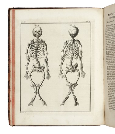 Lotto di 3 opere di medicina del '700. Medicina  - Auction Libri, Autografi e Manoscritti - Libreria Antiquaria Gonnelli - Casa d'Aste - Gonnelli Casa d'Aste